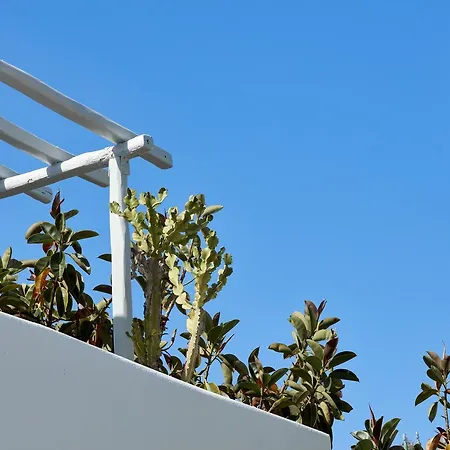 Mykonos Town Suites アパートホテル 4*